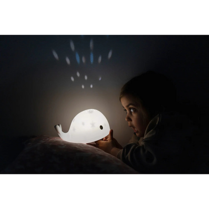 Flow Amsterdam Projector Moby
