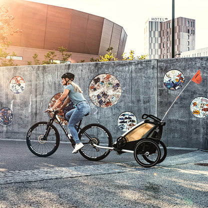 Thule Chariot Lite double - Agave